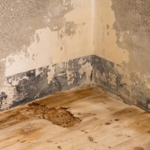 Water damage in a corner